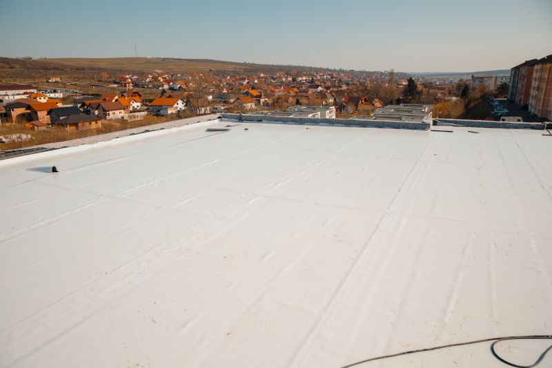 Roof Maintenance